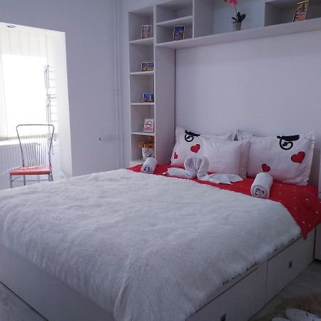 Epic Apartment ティミショアラ エクステリア 写真