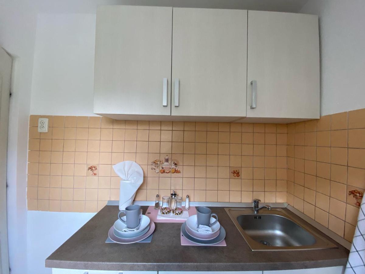 Epic Apartment ティミショアラ エクステリア 写真
