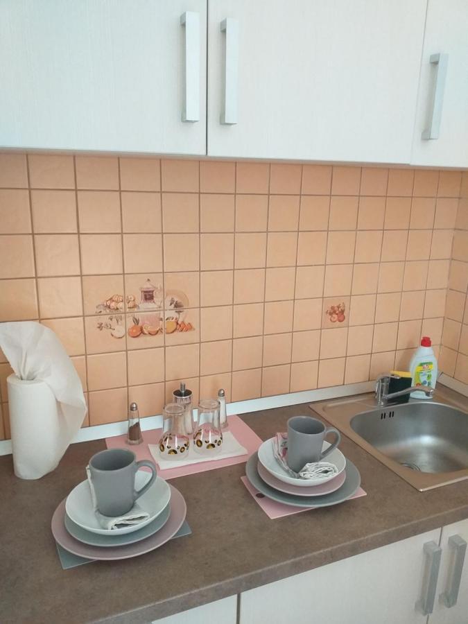 Epic Apartment ティミショアラ エクステリア 写真