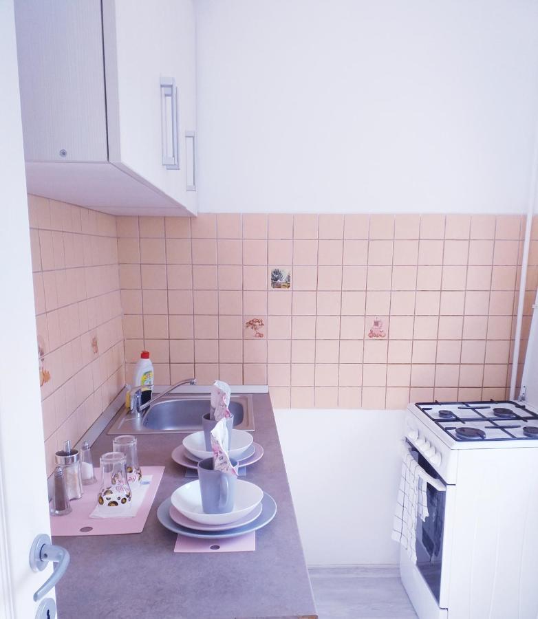 Epic Apartment ティミショアラ エクステリア 写真