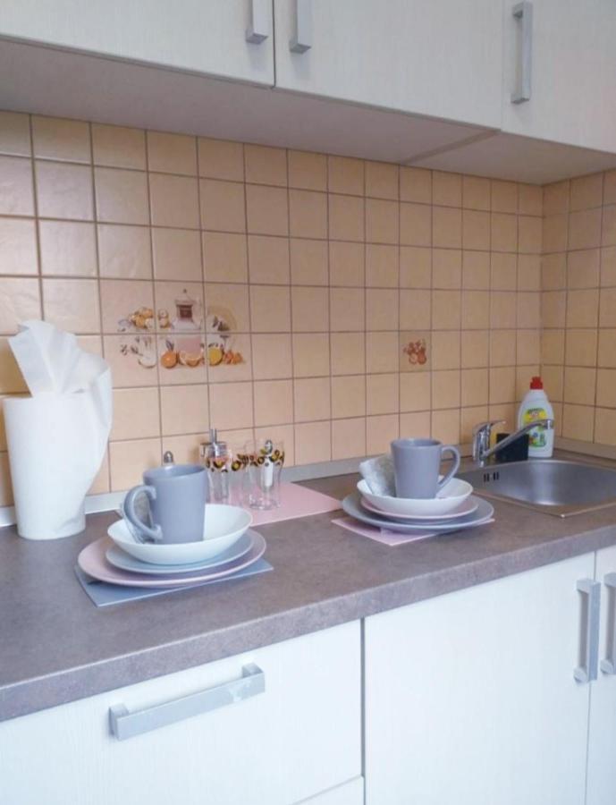 Epic Apartment ティミショアラ エクステリア 写真
