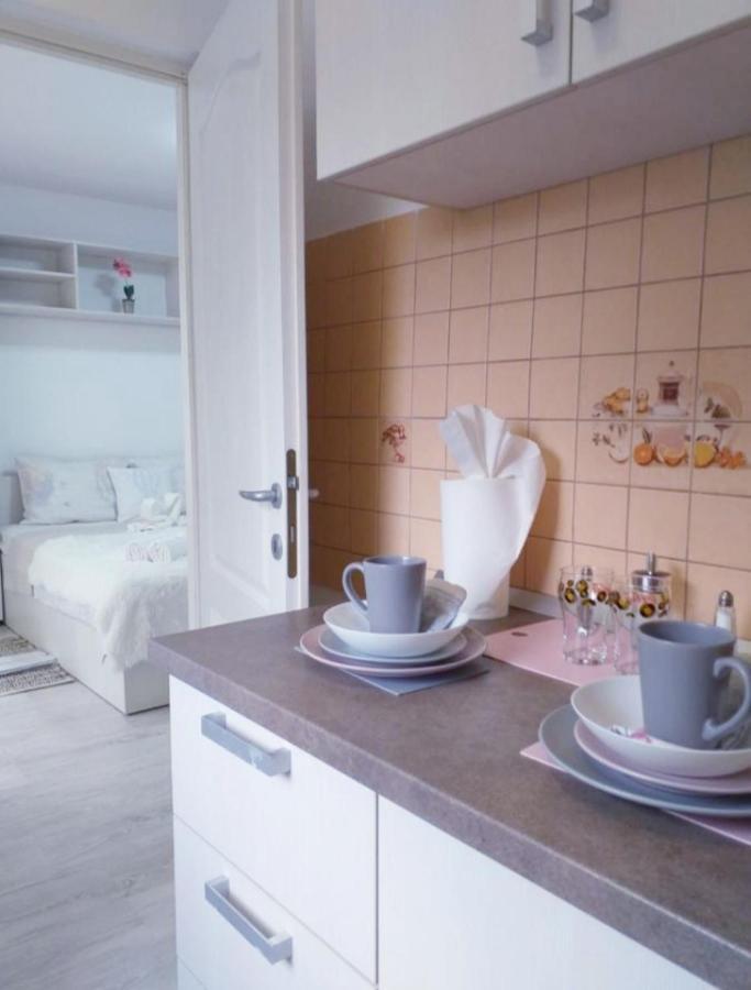 Epic Apartment ティミショアラ エクステリア 写真